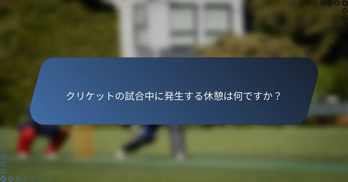 クリケットの試合中に発生する休憩は何ですか？